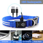 Dog Collar with FLashing LED Light