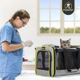 Pet Carrier with Wheels