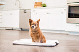 Dog Training Pad Holder - Holds 17.5" x 23.5" Pad - Gray
