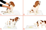 Odor Eliminating Gel Dog Pads - Lavender Scented - 21" x 21"  - 50 Count