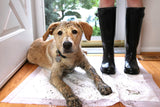 Odor Eliminating Gel Dog Pads - Lavender Scented - 21" x 21"  - 50 Count