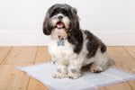 Odor Eliminating Gel Dog Pads - Lavender Scented - 21" x 21"  - 50 Count
